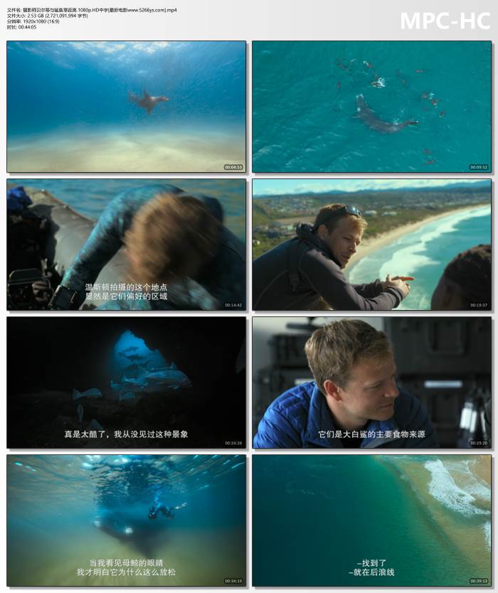慢热型音综现场