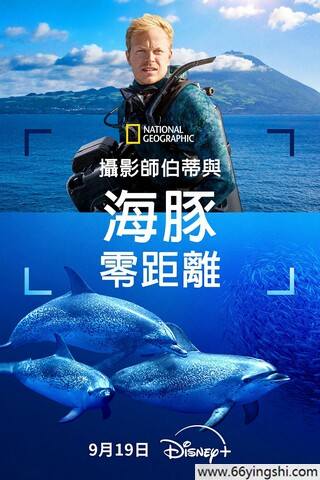 倒叙体消失调查